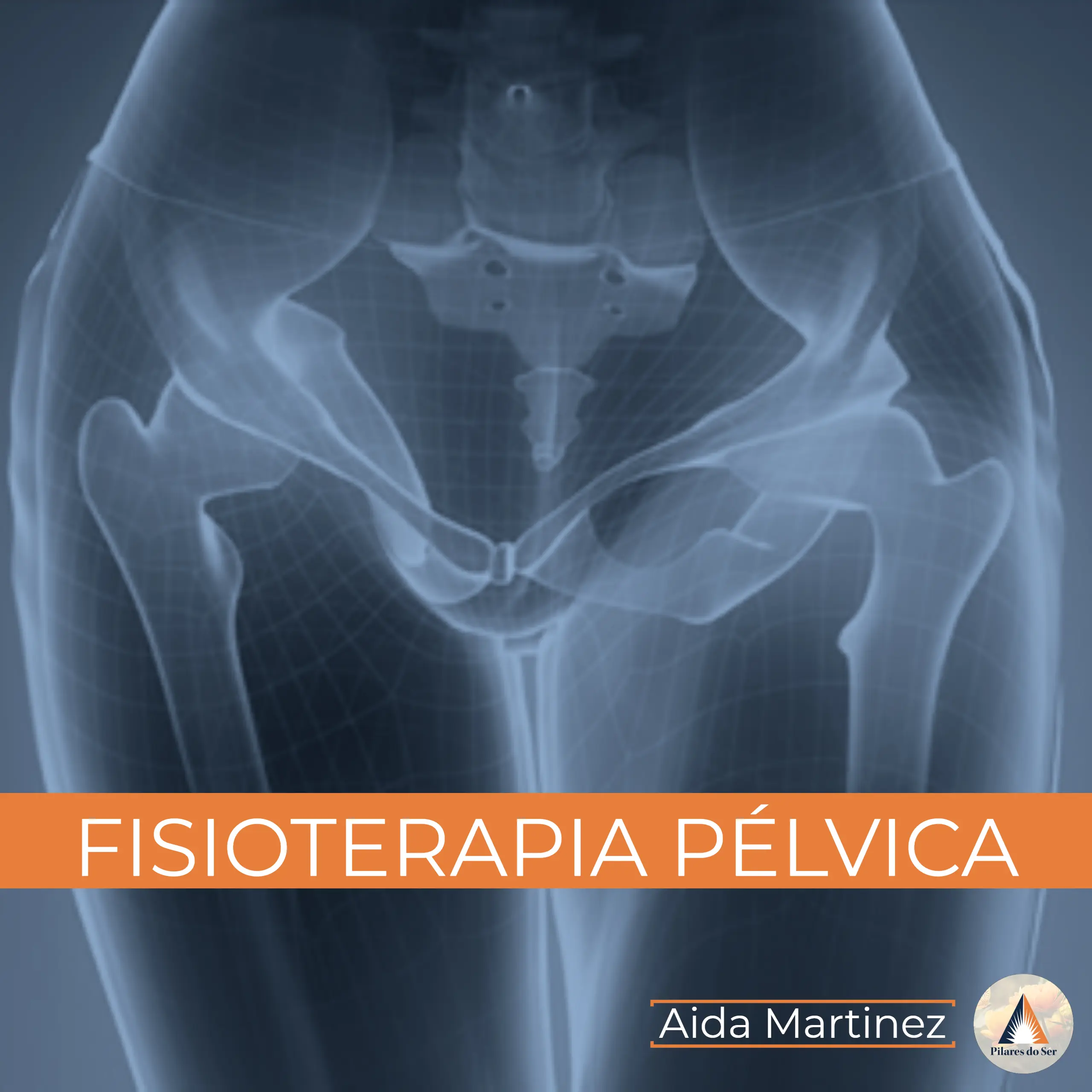 Fisioterapia Pélvica