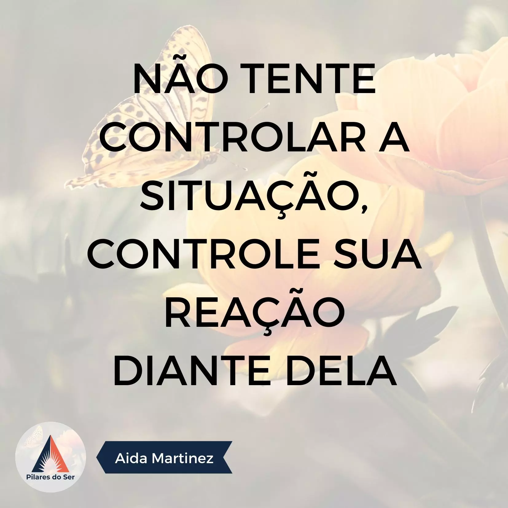 Não tente controlar a situação, controle a sua reação diante dela!