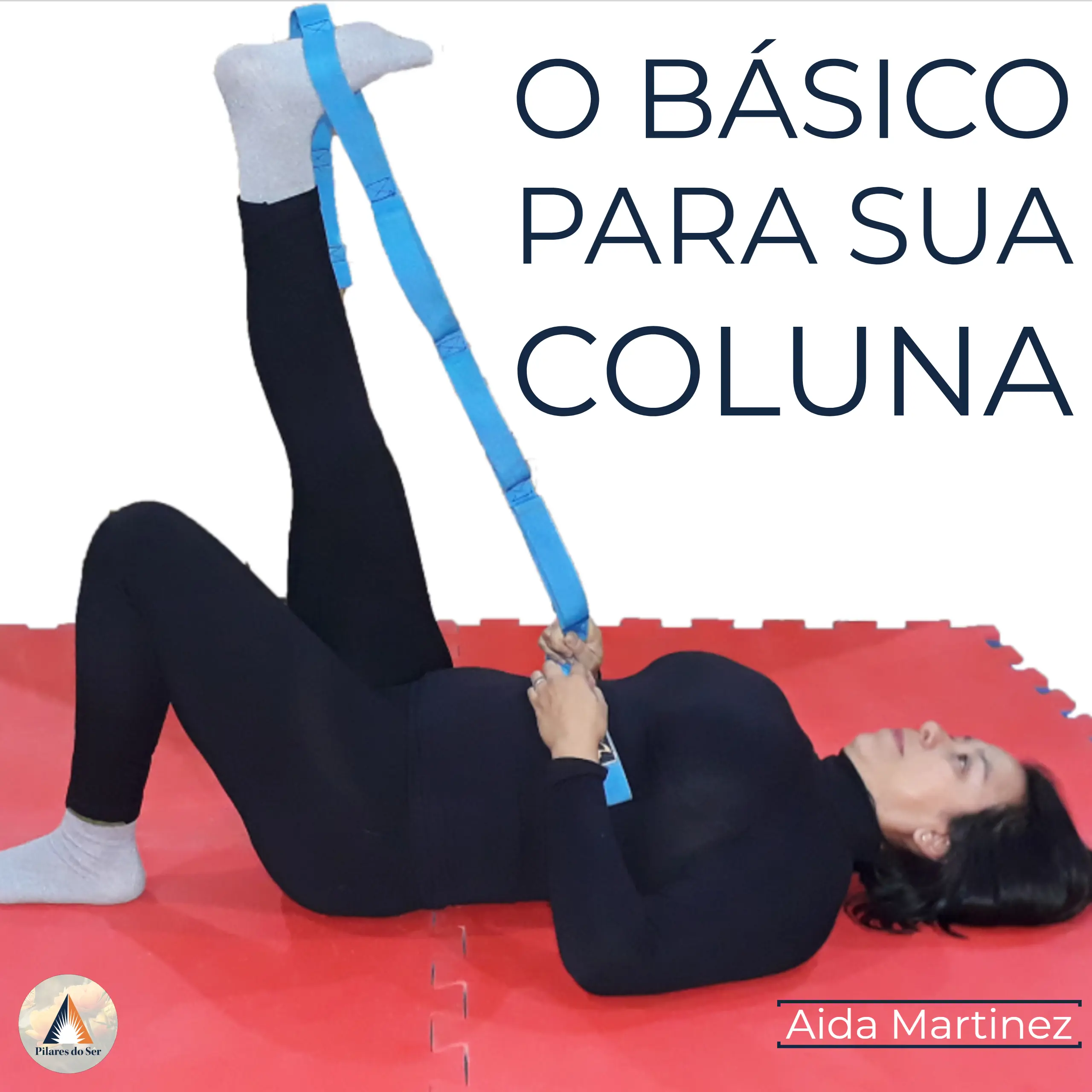 O Básico para sua Coluna