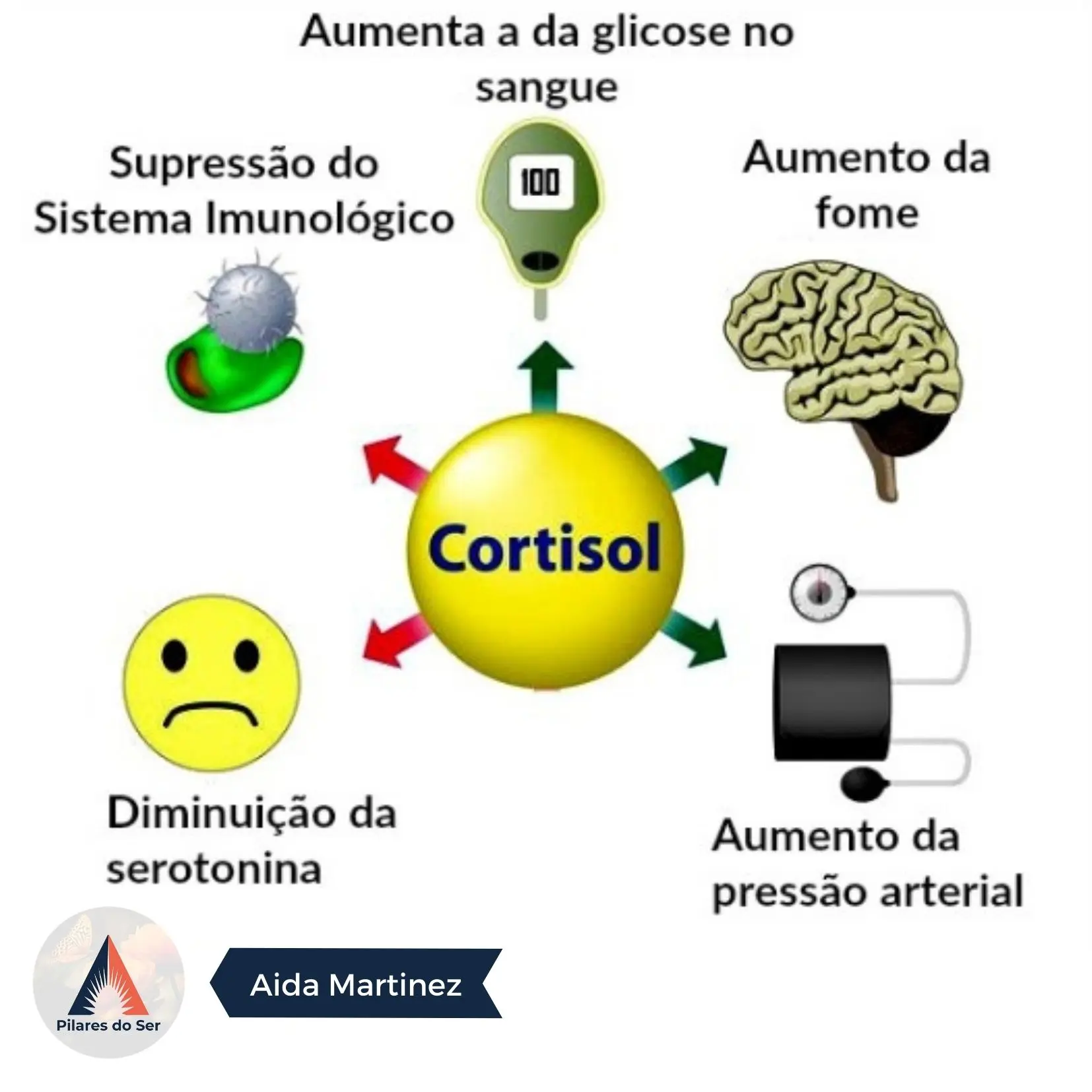 O trabalho da Análise Postural contribui diretamente na regulação hormonal do Cortisol