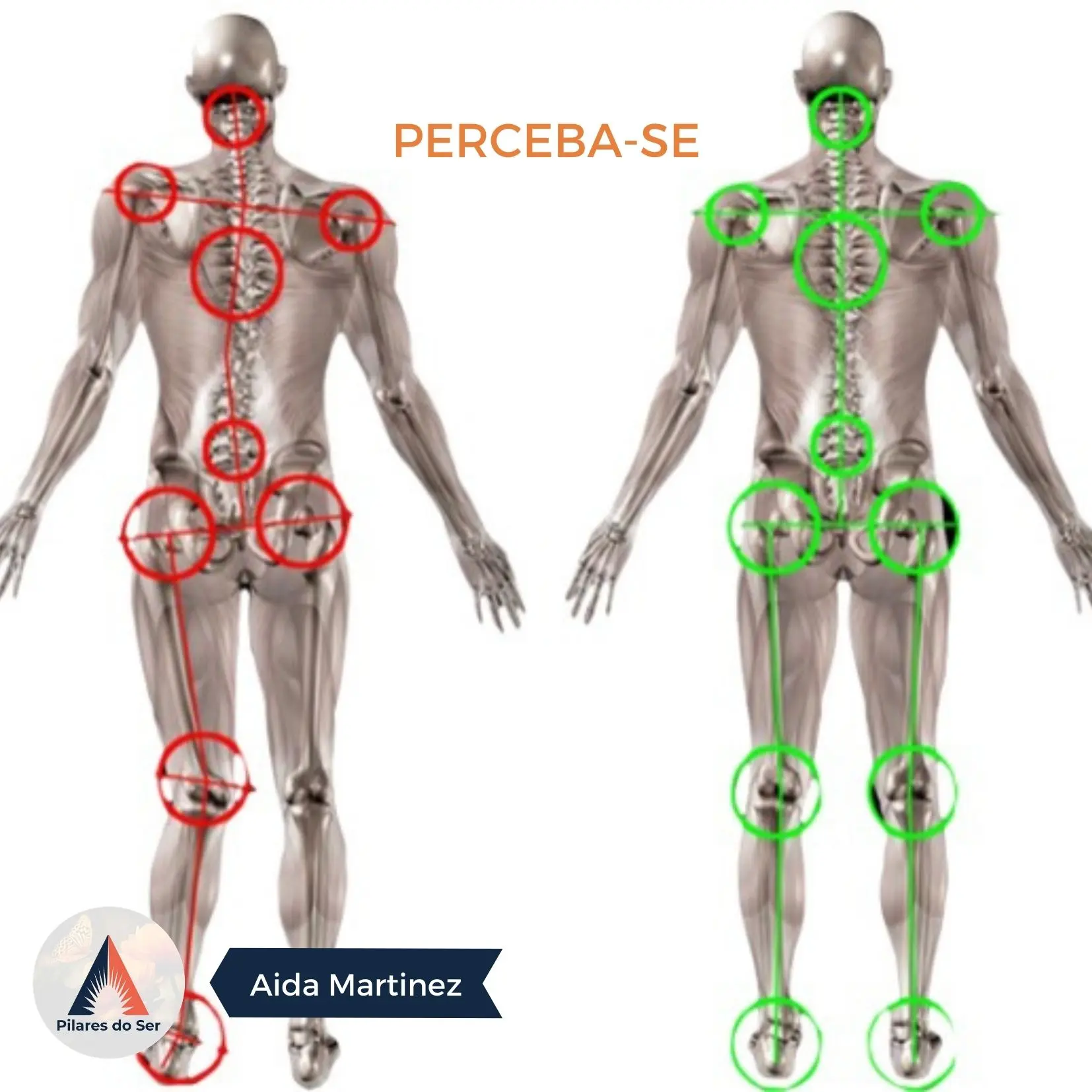 Perceba-se