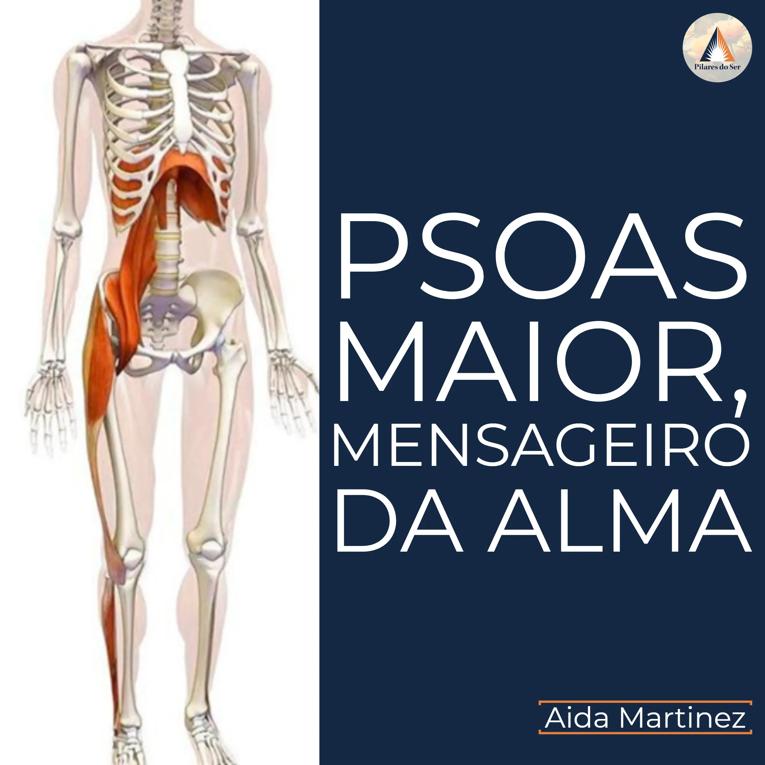 Psoas Maior, mensageiro da Alma