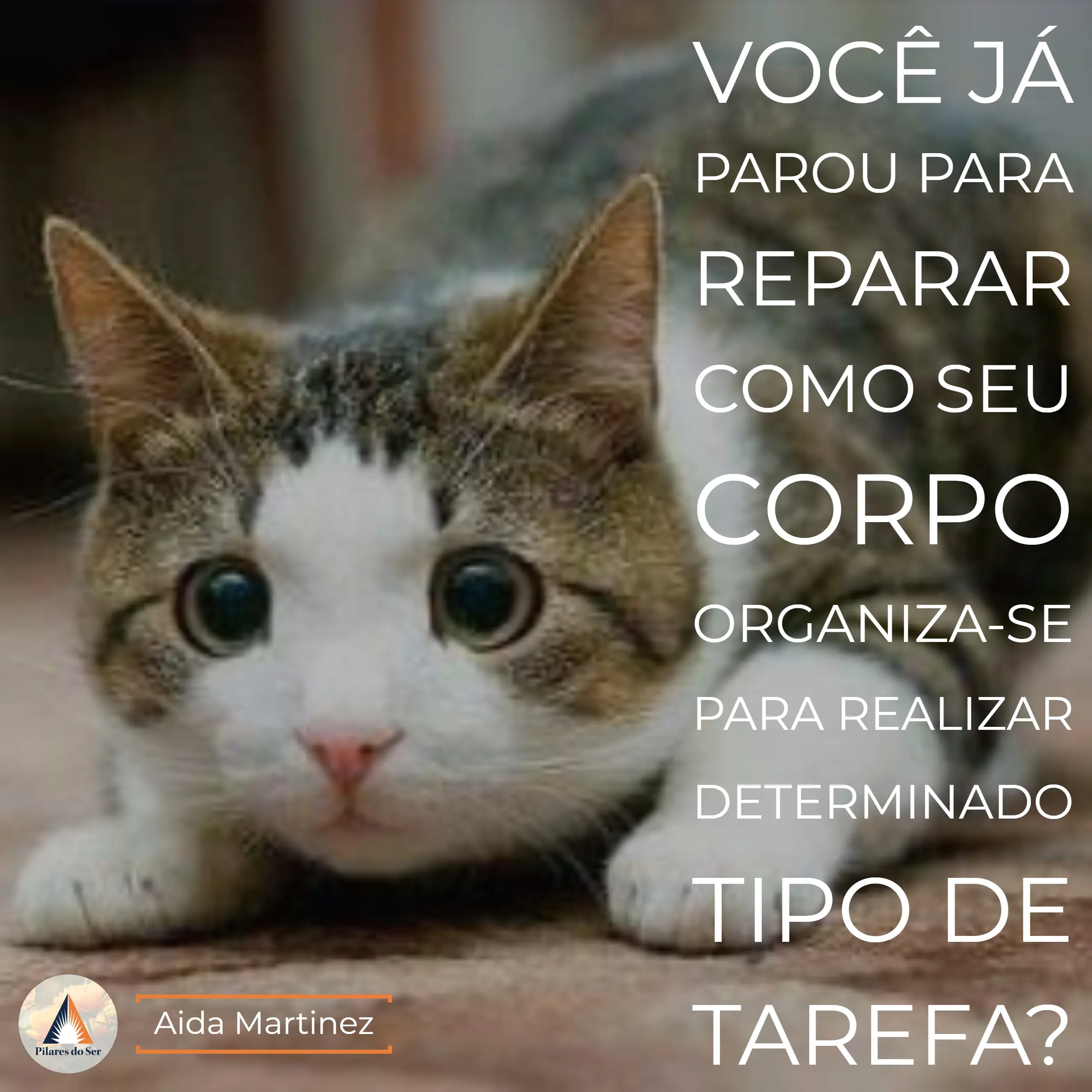 Você já parou para reparar como seu corpo organiza-se para realizar determinado tipo de tarefa?